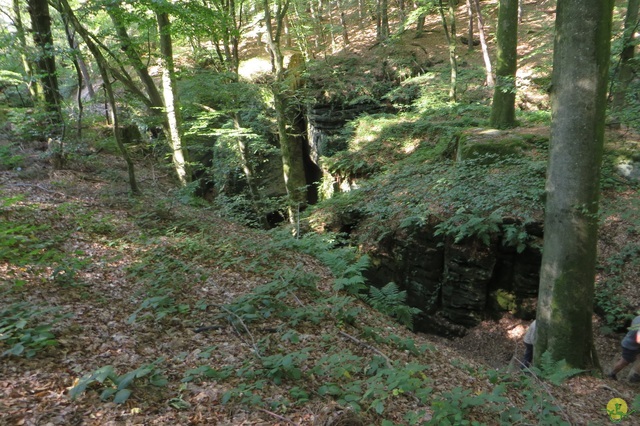 Randonnée joëlettes à Berdorf