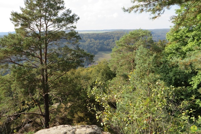 Randonnée joëlettes à Berdorf