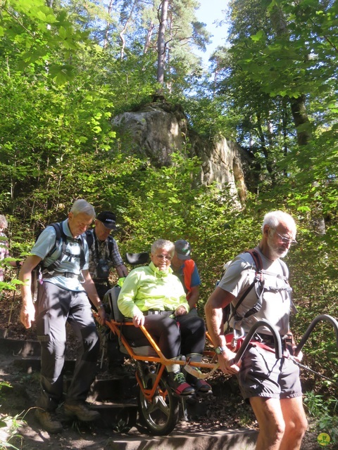 Randonnée joëlettes à Berdorf