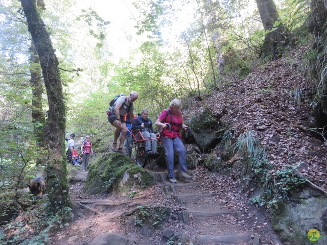 Randonnée joëlettes à Berdorf