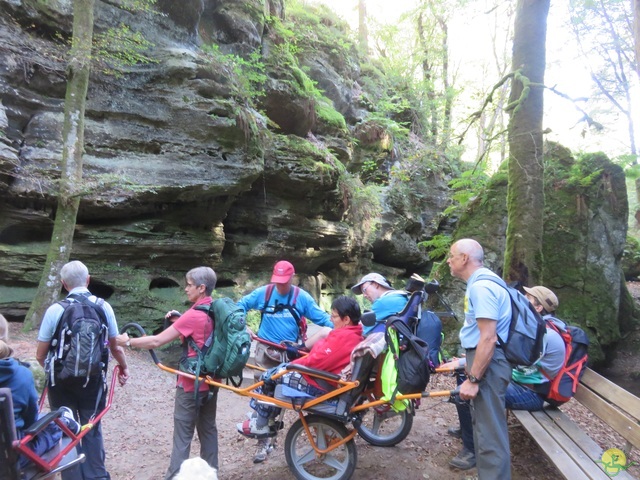 Randonnée joëlettes à Berdorf