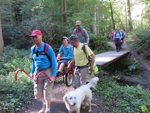 Randonnée joëlettes à Berdorf