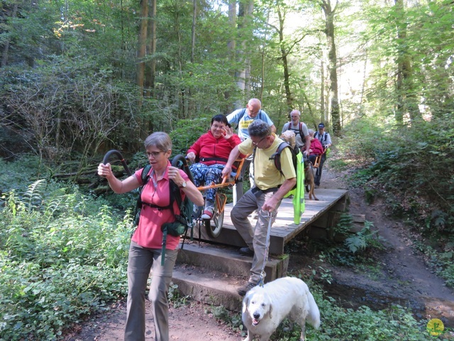 Randonnée joëlettes à Berdorf