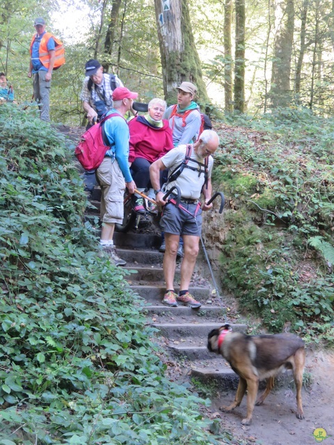 Randonnée joëlettes à Berdorf