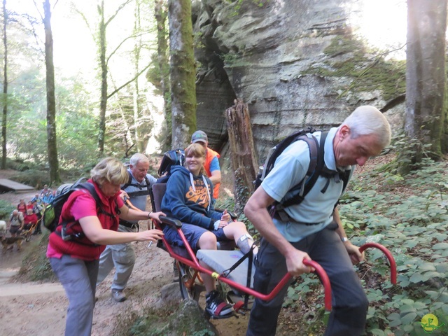 Randonnée joëlettes à Berdorf