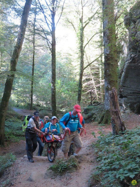 Randonnée joëlettes à Berdorf