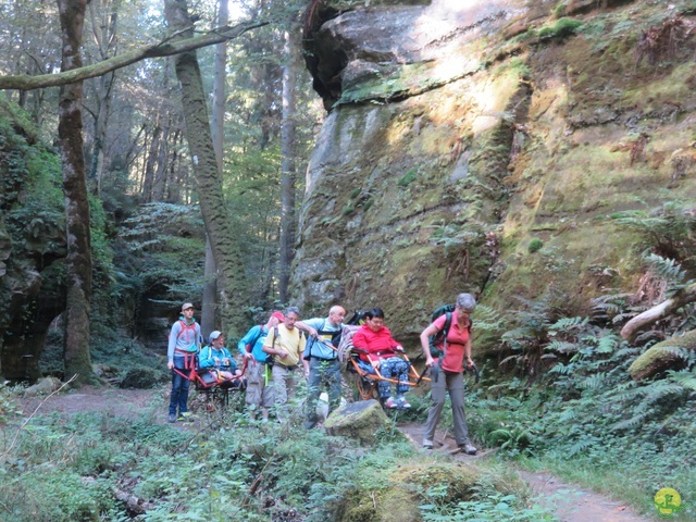 Randonnée joëlettes à Berdorf