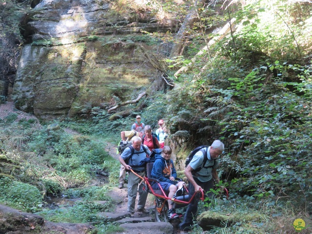 Randonnée joëlettes à Berdorf