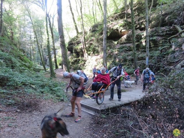 Randonnée joëlettes à Berdorf