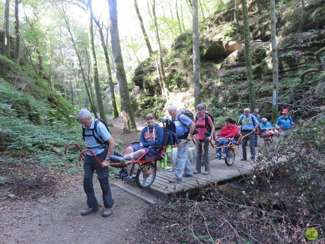 Randonnée joëlettes à Berdorf