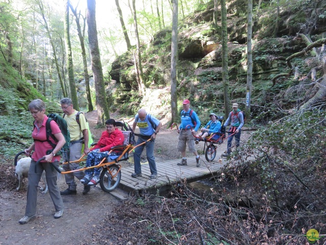 Randonnée joëlettes à Berdorf