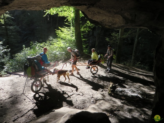 Randonnée joëlettes à Berdorf