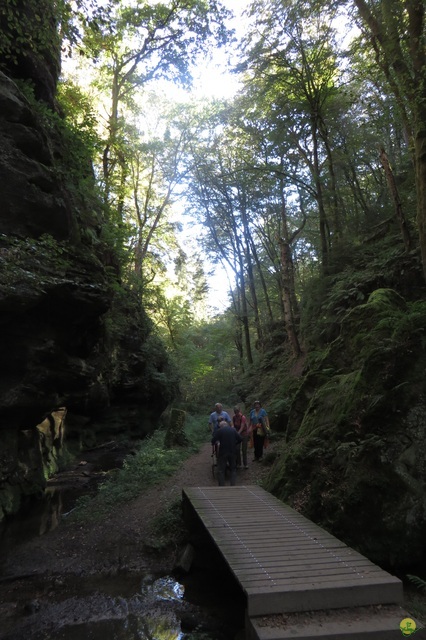 Randonnée joëlettes à Berdorf