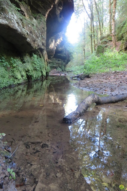 Randonnée joëlettes à Berdorf