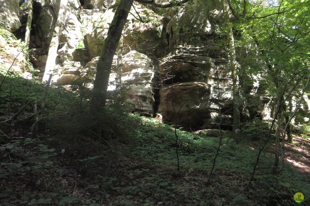 Randonnée joëlettes à Berdorf