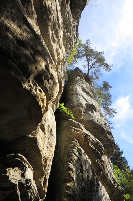 Randonnée joëlettes à Berdorf