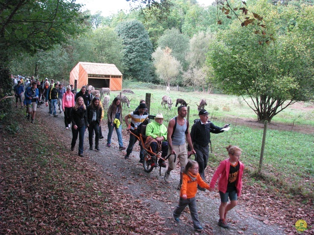 Randonnée joëlettes à Marche-en-Famenne