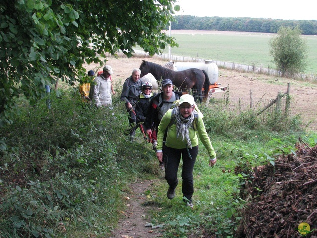 Randonnée joëlettes à Marche-en-Famenne