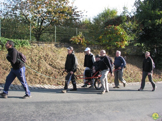 Randonnée joëlettes à Marche-en-Famenne