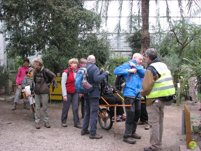 Randonnée joëlettes à Meise