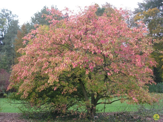 Randonnée joëlettes à Meise