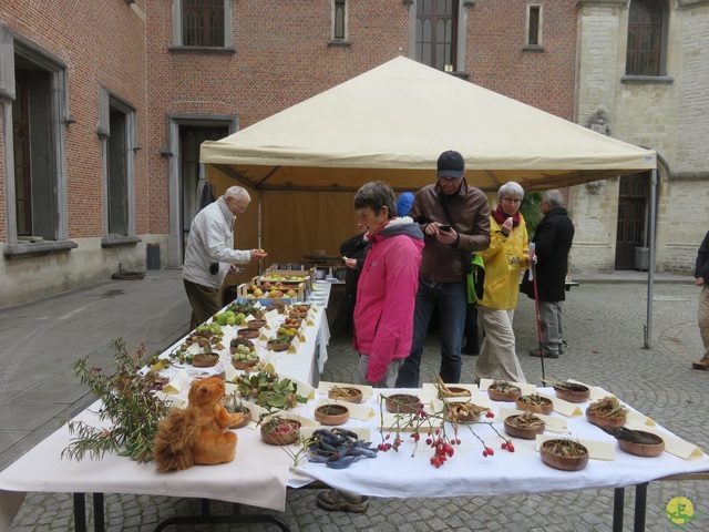 Randonnée joëlettes à Meise