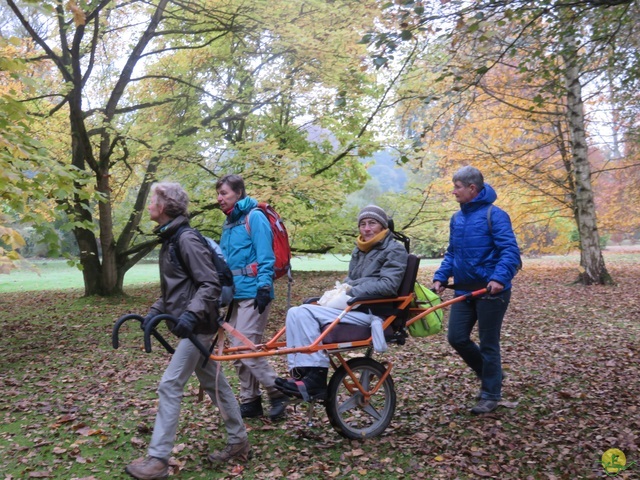 Randonnée joëlettes à Meise