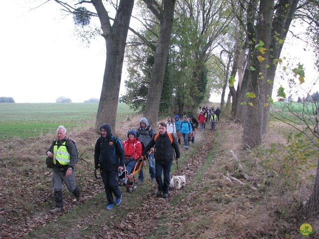 Randonnée joëlettes à Hermalle