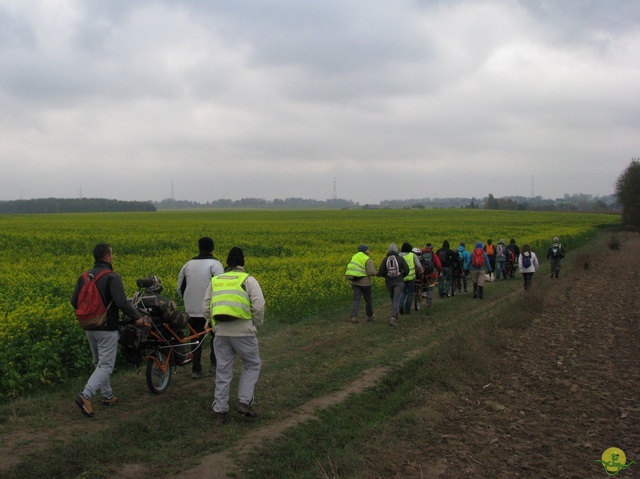 Randonnée joëlettes à Hermalle