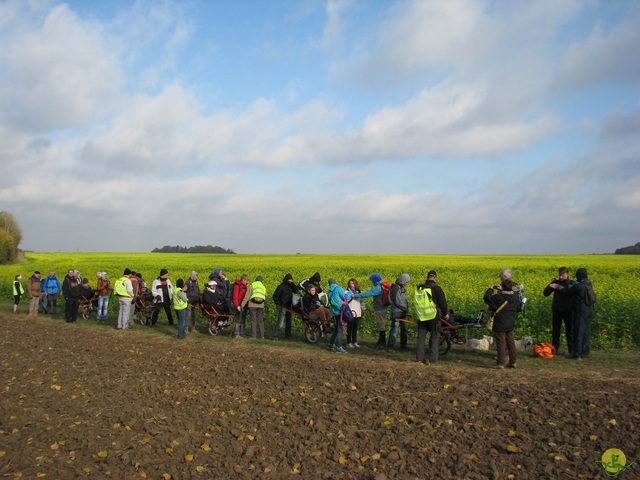 Randonnée joëlettes à Hermalle