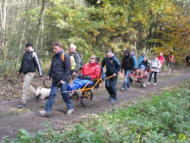 Randonnée joëlettes à Hermalle