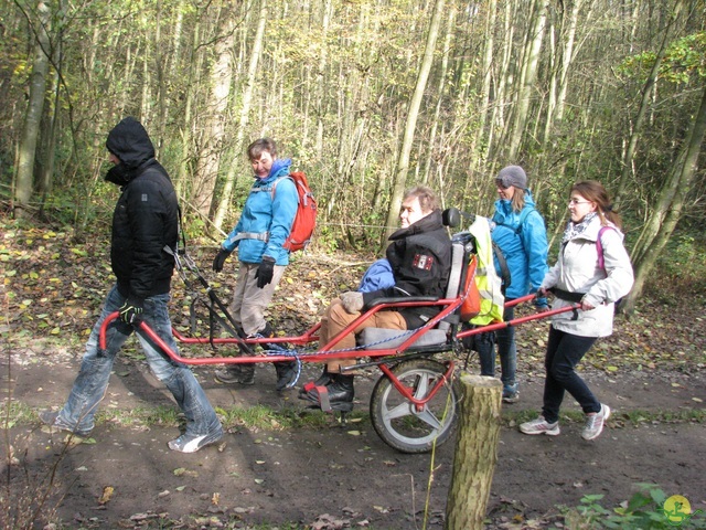 Randonnée joëlettes à Hermalle