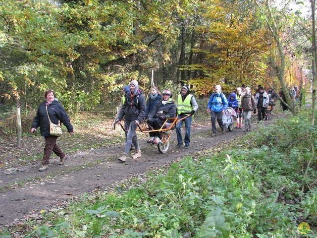 Randonnée joëlettes à Hermalle