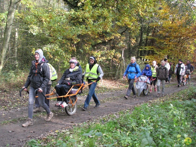 Randonnée joëlettes à Hermalle