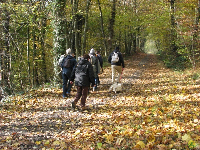 Randonnée joëlettes à Hermalle