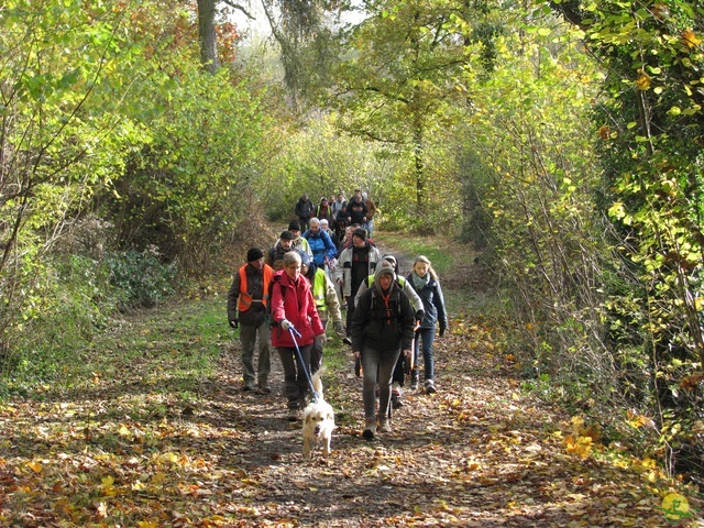 Randonnée joëlettes à Hermalle