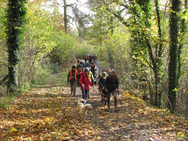 Randonnée joëlettes à Hermalle