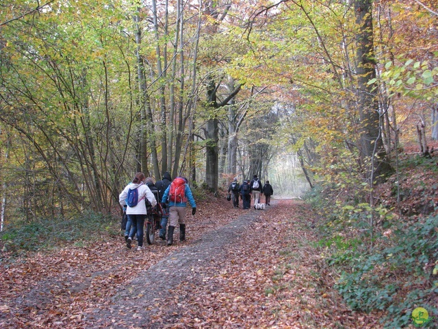 Randonnée joëlettes à Hermalle