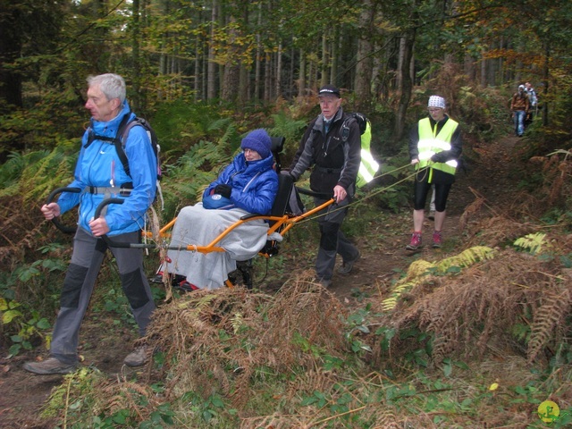 Randonnée joëlettes à Hermalle