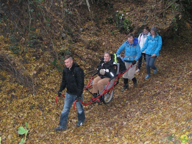 Randonnée joëlettes à Hermalle