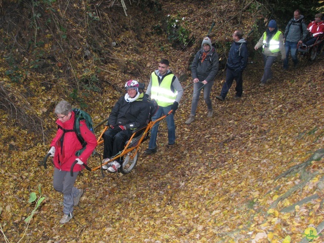 Randonnée joëlettes à Hermalle