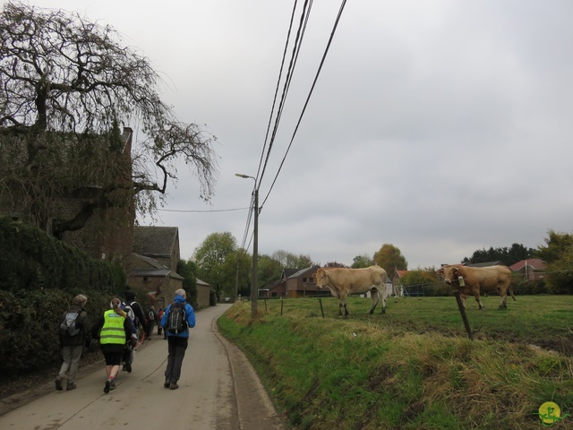 Randonnée joëlettes à Hermalle