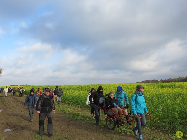 Randonnée joëlettes à Hermalle