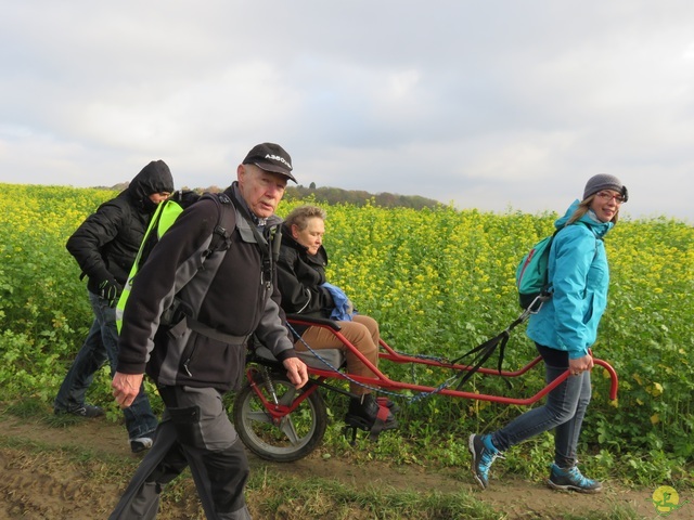 Randonnée joëlettes à Hermalle