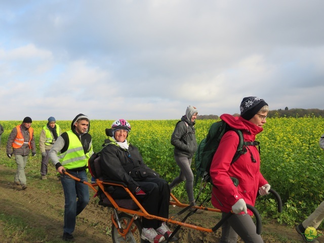 Randonnée joëlettes à Hermalle