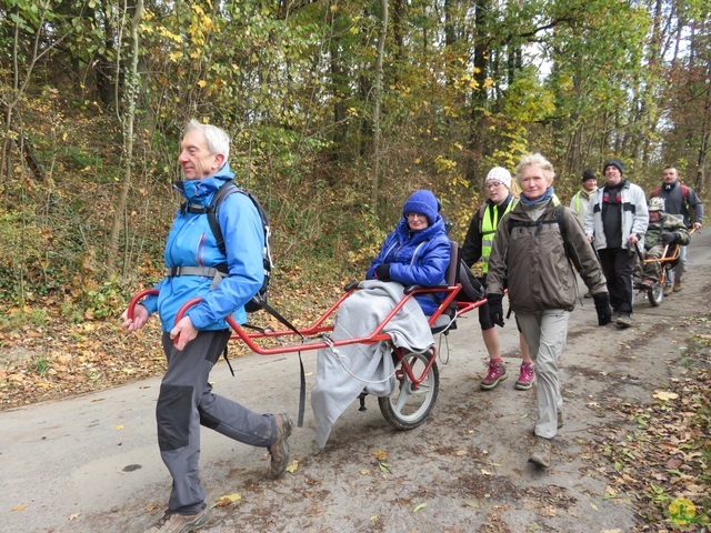 Randonnée joëlettes à Hermalle