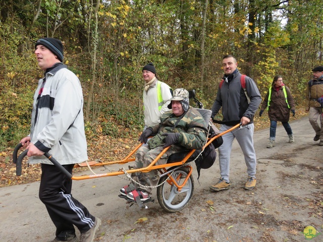 Randonnée joëlettes à Hermalle