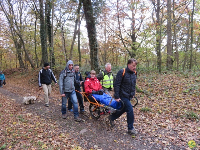 Randonnée joëlettes à Hermalle