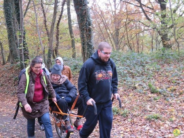 Randonnée joëlettes à Hermalle