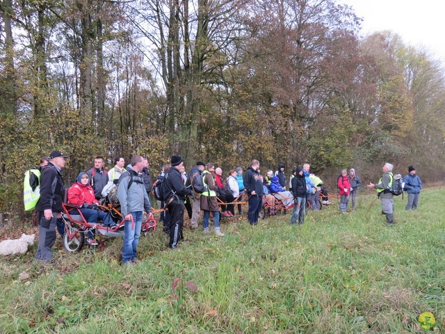 Randonnée joëlettes à Hermalle